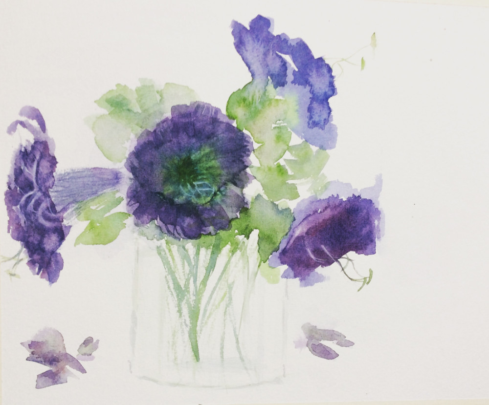 Watercolour painting of Cup and Saucer Vine (Cathedral Bells) showing delicate bell-shaped flowers transitioning from soft greenish-white to rich purple. Painted with Sap Green and Dioxazine Purple washes on a white background.