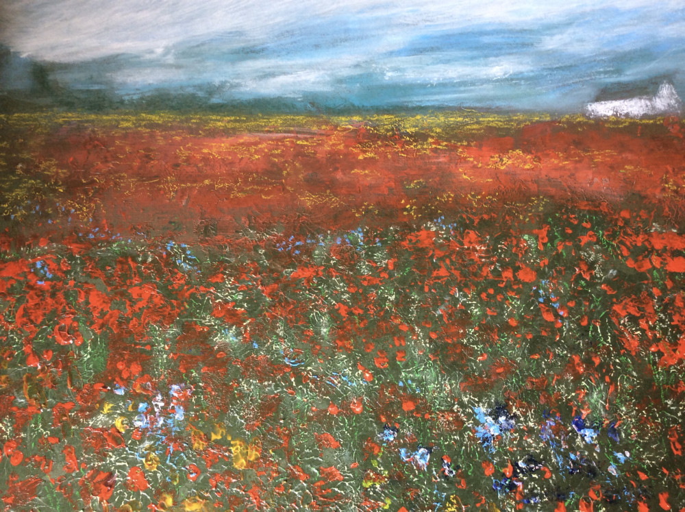 Summer in the Wild Meadows