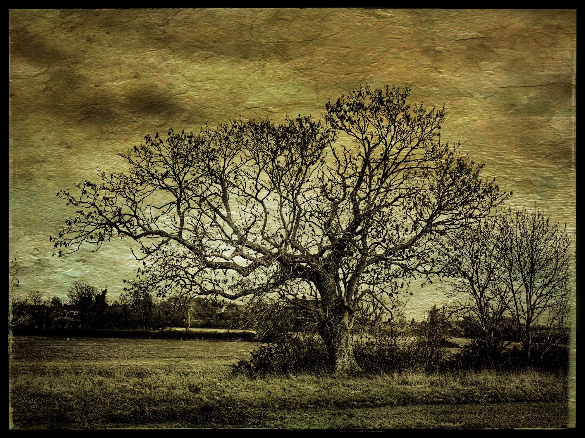 Fragments and Light - distressed Norfolk landscape